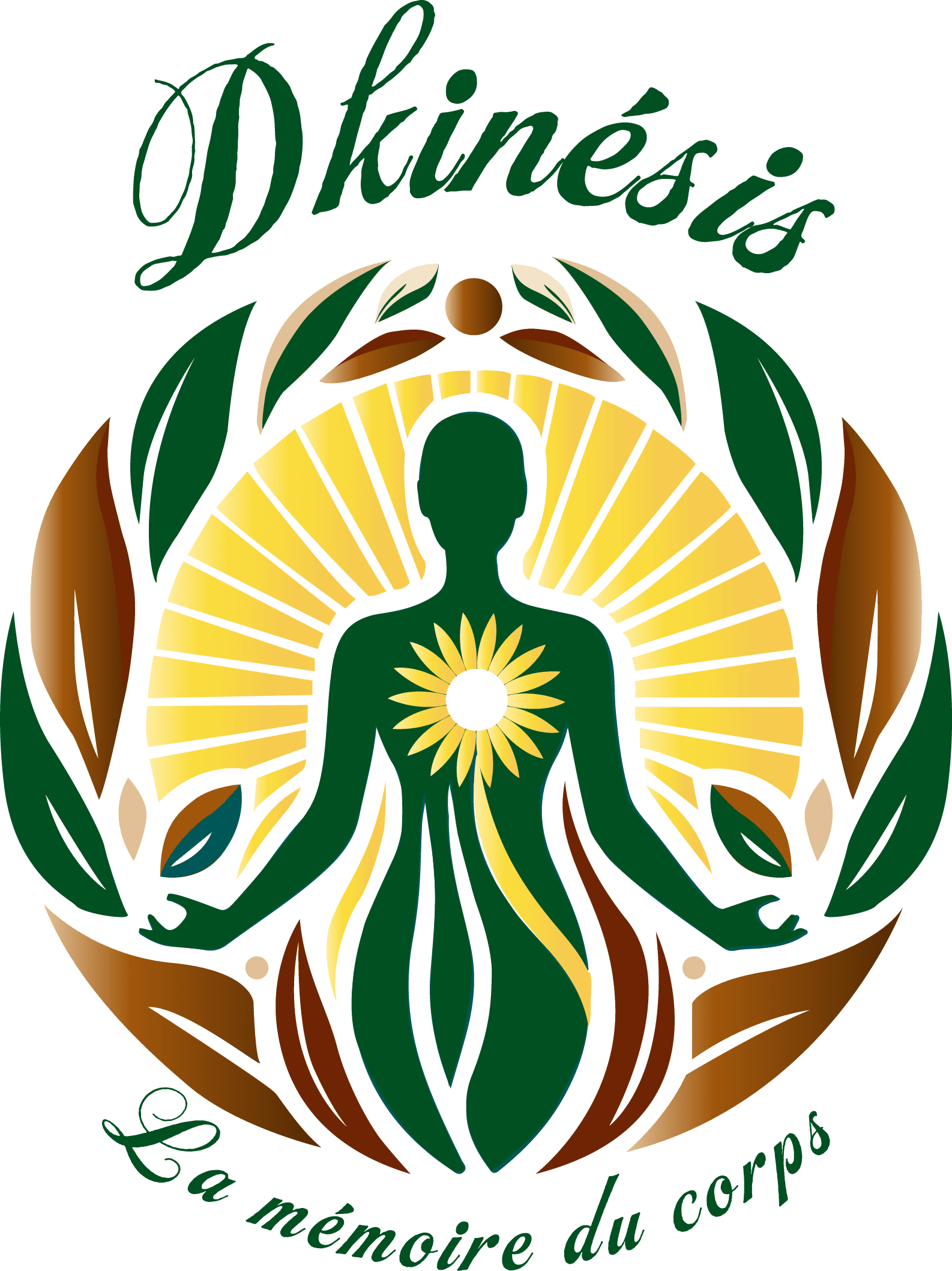 logo dkinesis kinésiologue sur nice