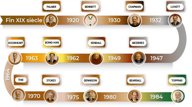 Chronologie kinésiologie